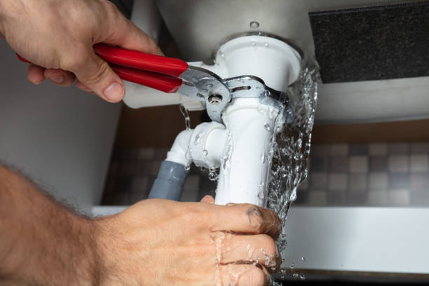 Best Flooded house restoration  in Runnemede, NJ
