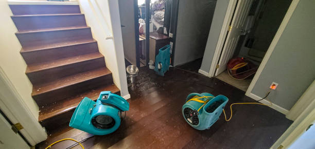 Best Sewage cleanup and water damage restoration  in Runnemede, NJ