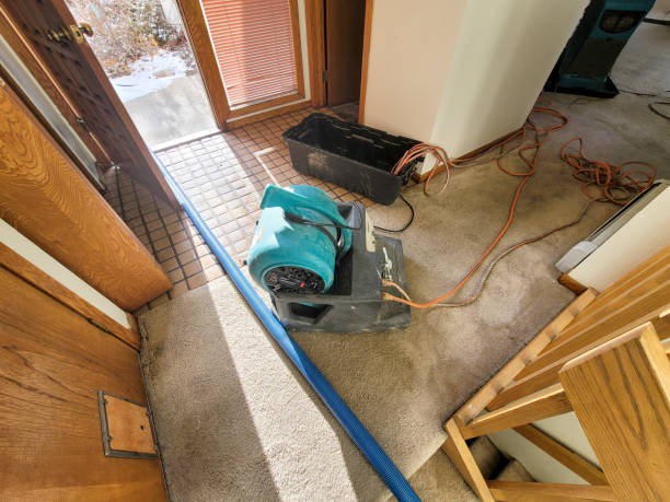 Best Water damage mitigation services  in Runnemede, NJ