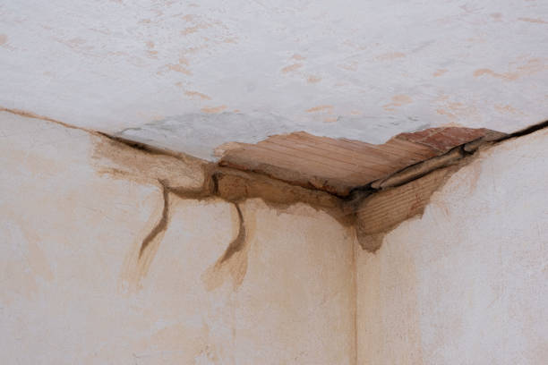  Runnemede, NJ Water damage restoration Pros