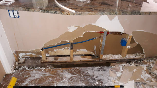 Best Mold removal after water damage  in Runnemede, NJ