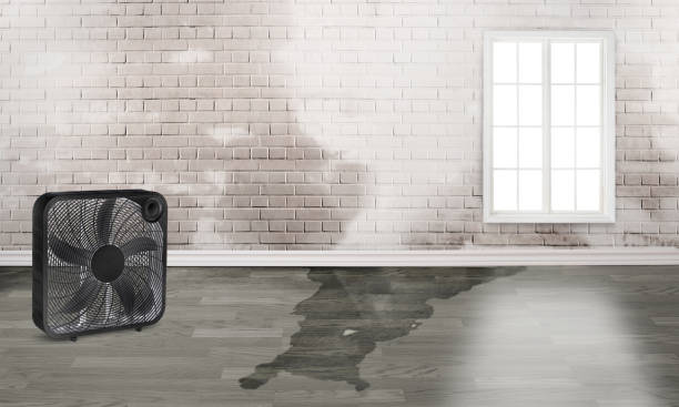 Best Residential water damage restoration  in Runnemede, NJ