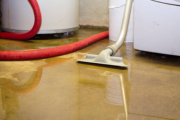 Best 24-hour water damage restoration  in Runnemede, NJ