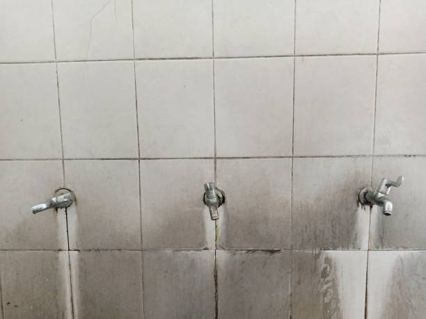 Water damage restoration mold remediation in Runnemede, NJ