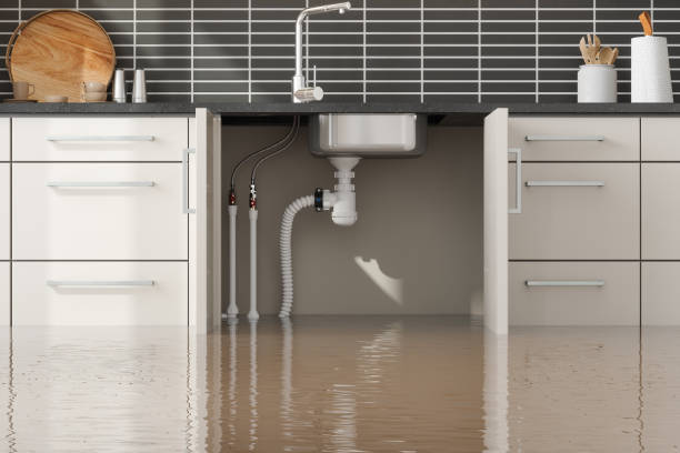 Best Emergency water damage restoration  in Runnemede, NJ