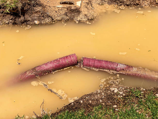 Trusted Runnemede, NJ Water damage restoration Experts