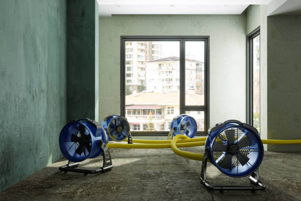 Best Professional water damage repair  in Runnemede, NJ